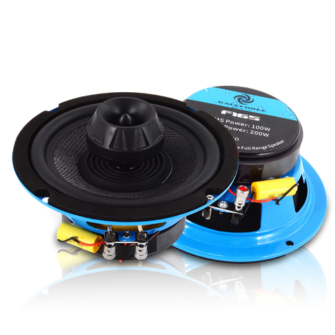 Galeforce F1 6.5