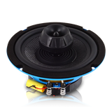 Galeforce F1 6.5